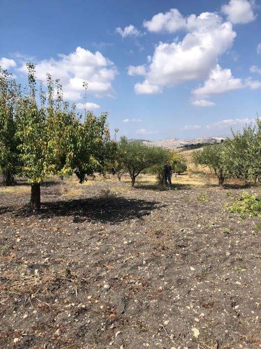 Вилла Canpujol Sicily Racalmuto Экстерьер фото